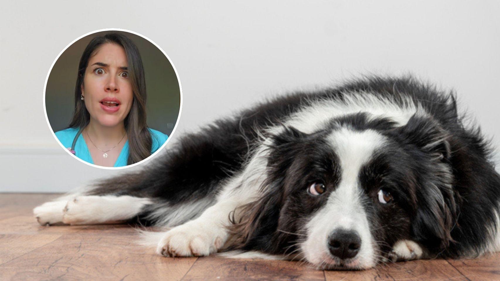 Hay que prestar atención a las señales.