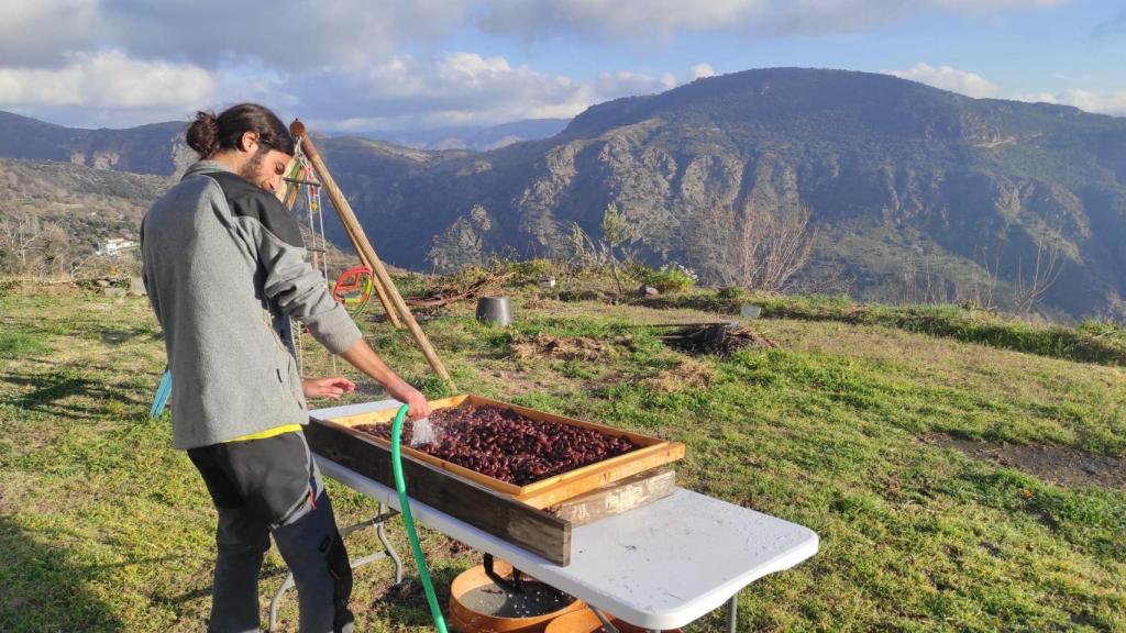 El trabajo de reforestación en la Alpujarra.