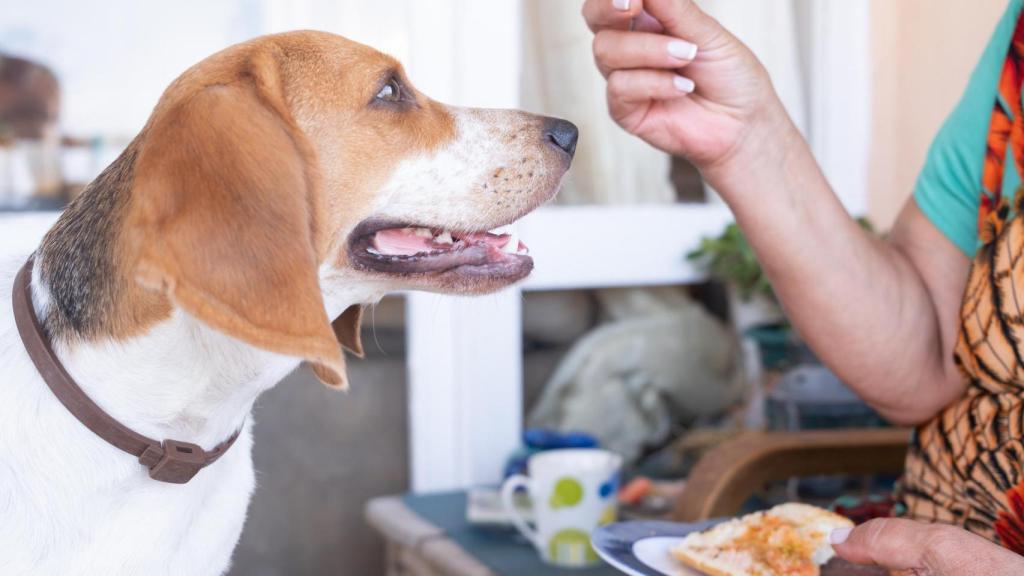 No es una opción muy recomendada.