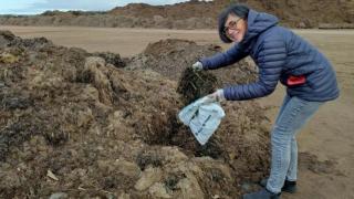 La bióloga Cristina Soler, profesora titular de la Universidad Autónoma de Madrid, este lunes, cogiendo una muestra de algas del Mar Menor en la empresa Reciclesan de Roldán.