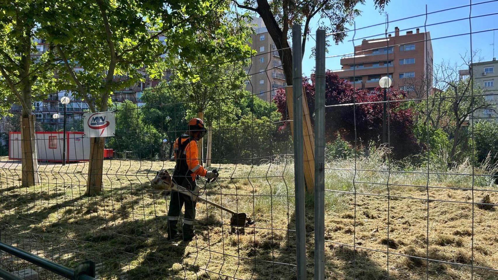 Comienza la tala de 1.500 árboles en el río Huerva: así se acabará con una  de las especies más peligrosas