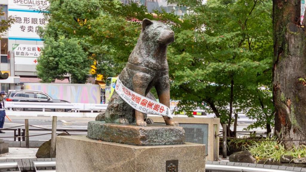 Estatua de Hachiko, el perro que esperó durante 10 años a su dueño después de que este muriera repentinamente en un accidente.