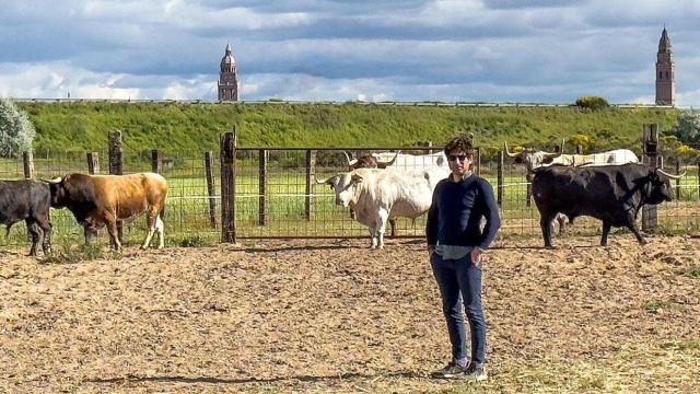 Raúl Nieto en su ganadería de Alaejos