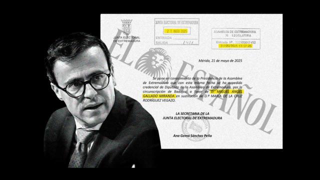 Fotomontaje con el rostro de Gallardo y el documento que demuestra que es diputado desde este miércoles.