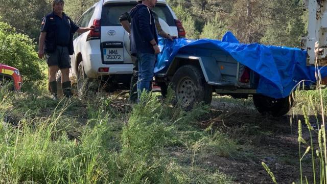 Transporte de los ejemplares varados en remolques. Foto: CHT