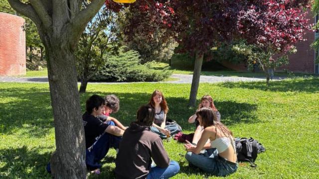 Universidad Autónoma de Barcelona (UAB)