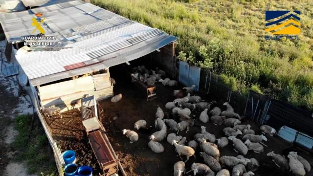 Los mataderos clandestinos fueron encontrados en Madrid, Toledo y Ávila.