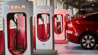 Tesla gana un 15,4% más en España en 2024 tras elevar sus ventas pese a triplicar las indemnizaciones por despido