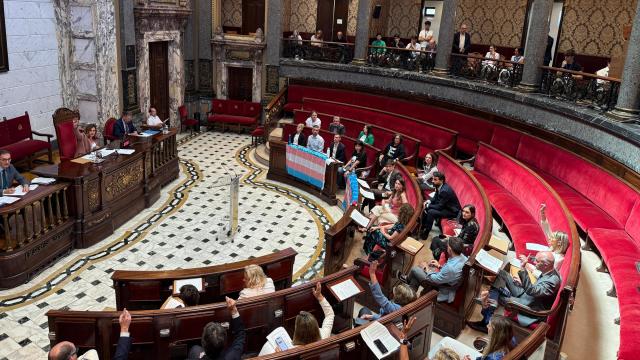 Votación de la moción del PSPV sobre Lgtbifobia en el pleno municipal. Ayuntamiento de Valencia