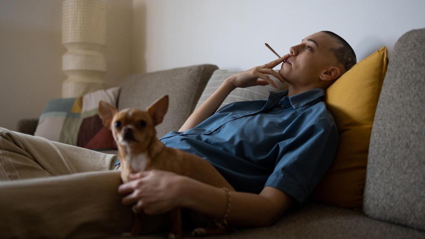 Expertos alertan sobre que fumar delante de tu mascota puede ser gravemente perjudicial para su salud.