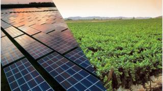 Placas solares y viñas, los futuros cambios de paisaje en Monforte del Cid.