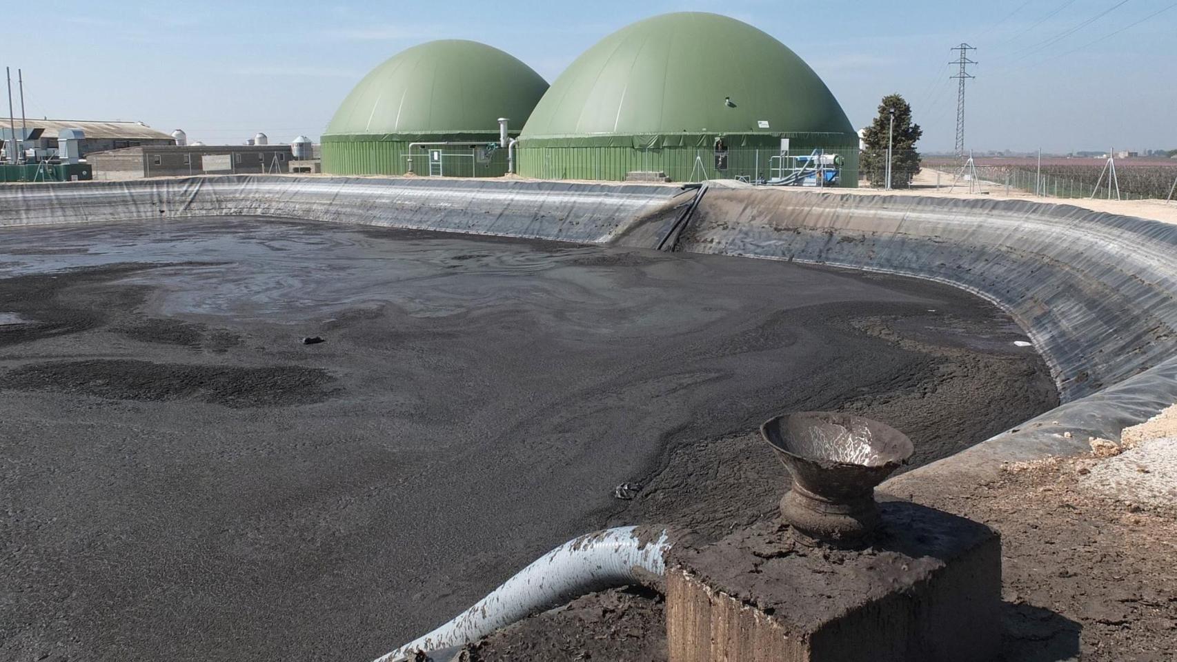 Planta de biogás con purines