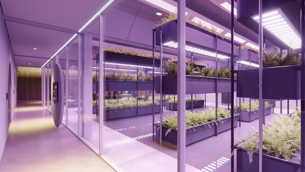 La zona de cultivos del búnker DBX.