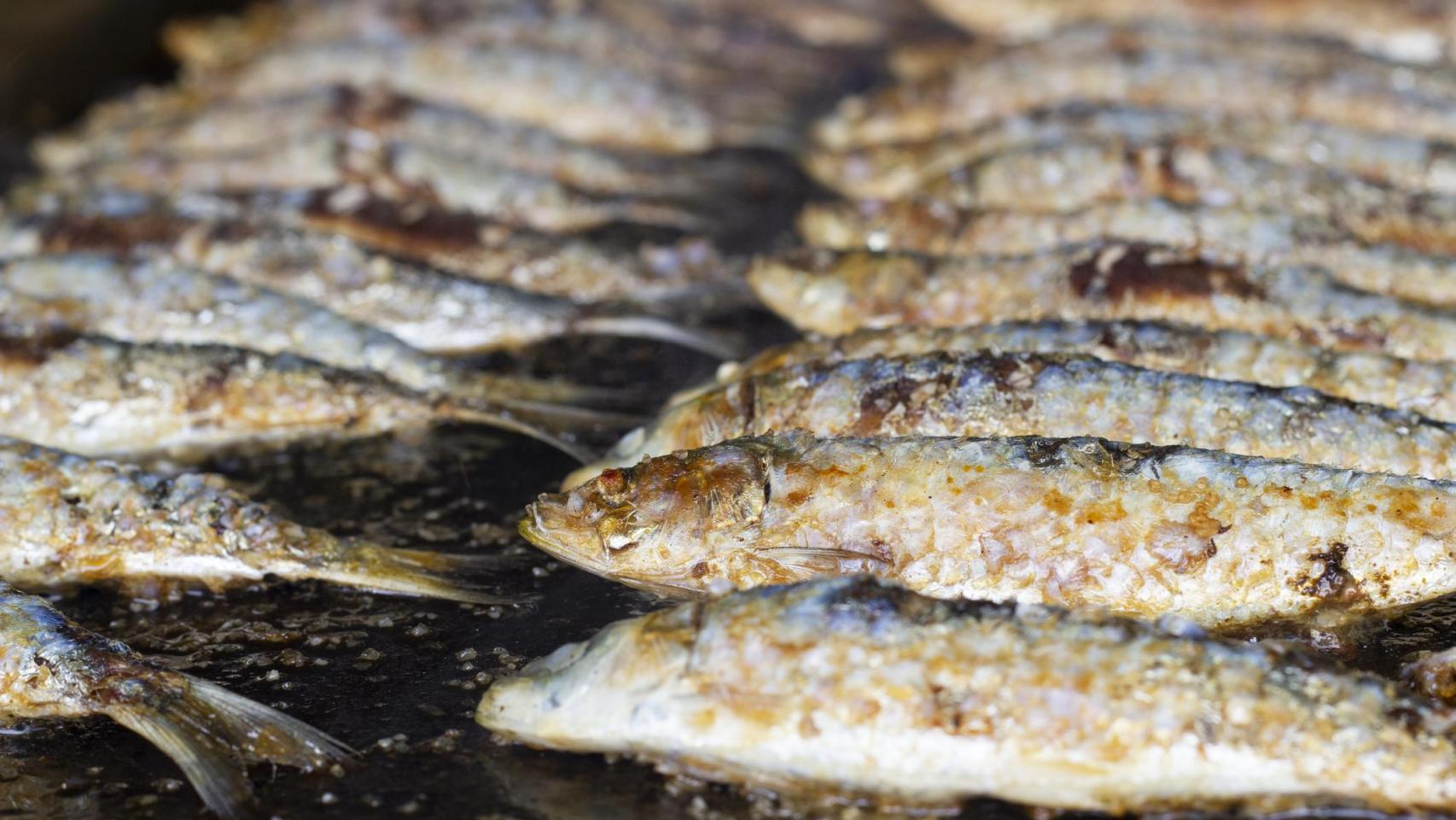 Sardinas asadas