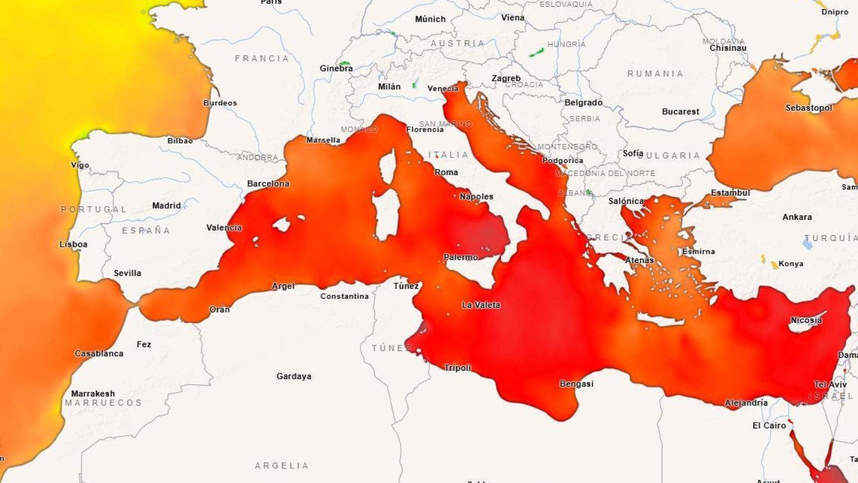 Previsión de la temperatura superficial marina para los próximos días.