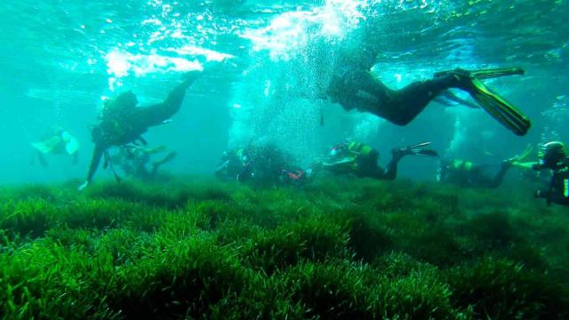Buceo en Cabo de Gata.