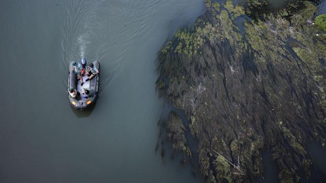 La Guardia Civil busca en el río Júcar a las tres personas desaparecidas como consecuencia de la dana. Efe / Biel Aliño