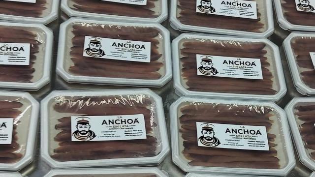 La Anchoa Sin Lata de Colmenar Viejo