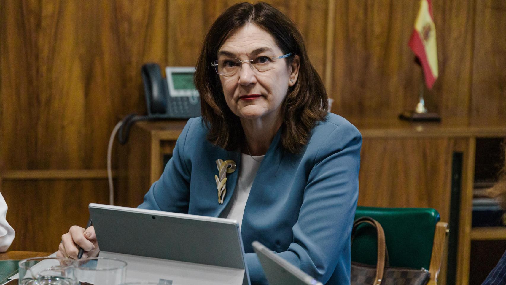 La presidenta de la Comisión Nacional de los Mercados y la Competencia (CNMC), Cani Fernández