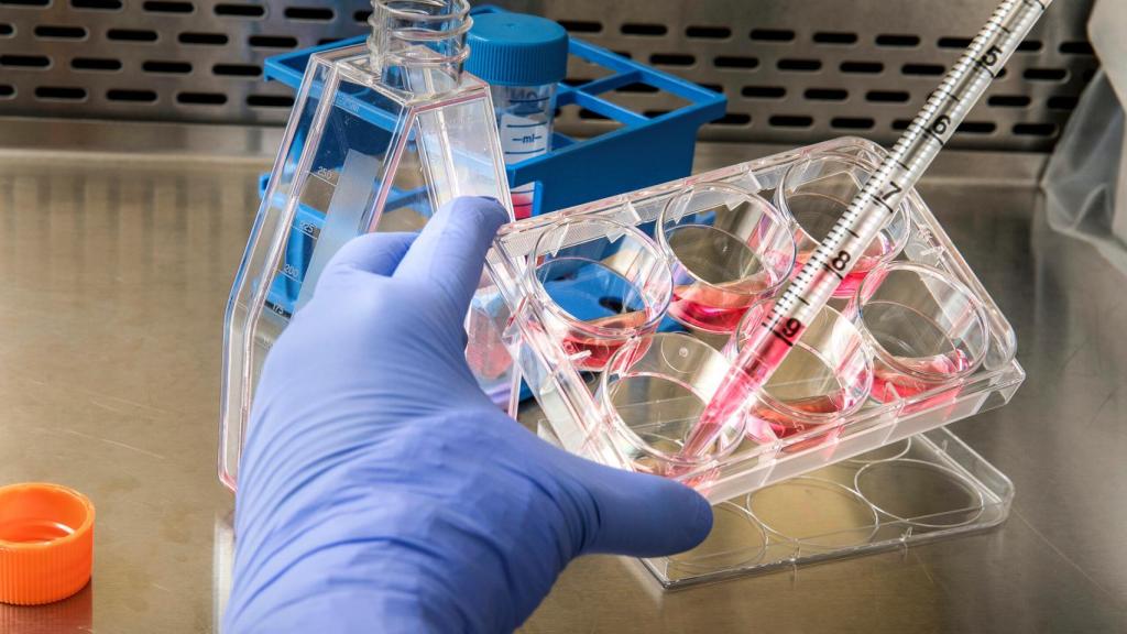 Selección de muestras en un laboratorio