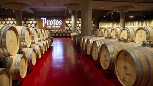 Dos vinos, dos historias: la esencia detrás de Bodegas Protos