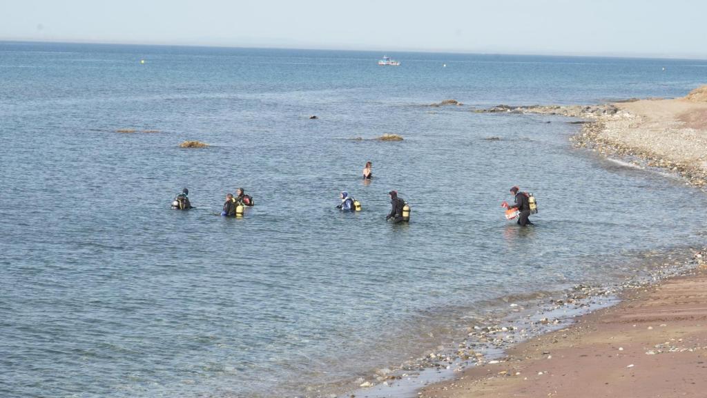Un grupo de buceadores se dirige a las praderas de Posidonia oceánica en Marbella, Málaga.