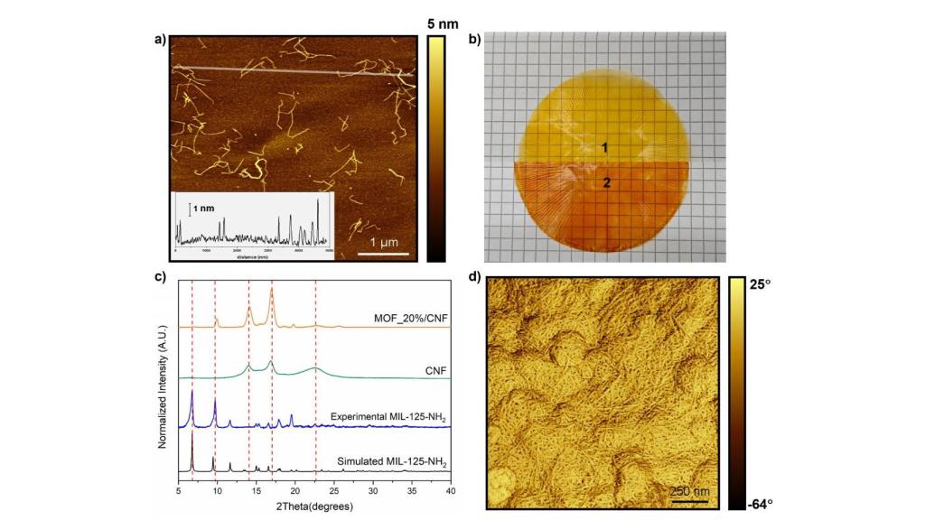 Esquema del apósito español que reduce el crecimiento bacteriano.