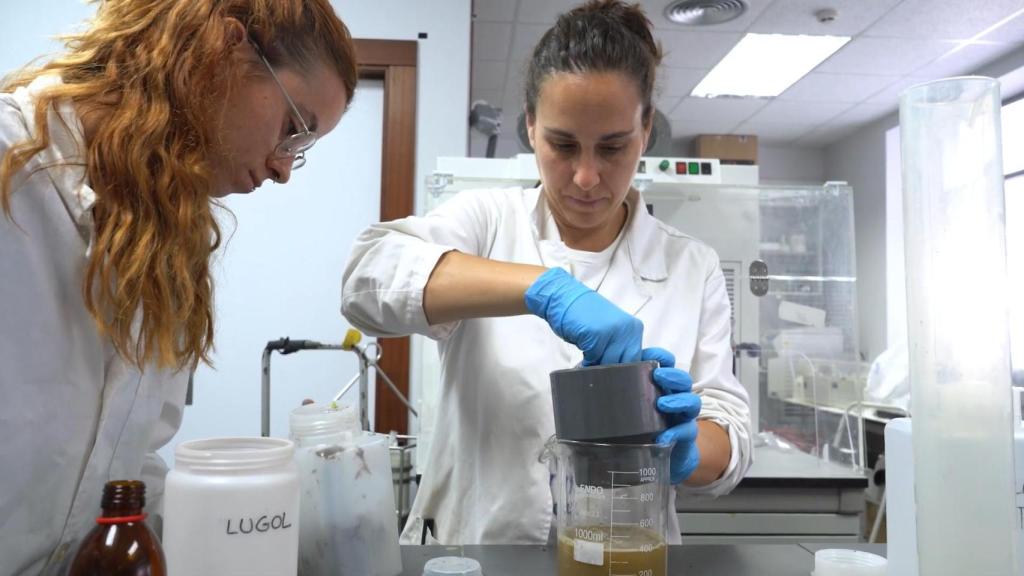 Las investigadoras Nereida Albaladejo (i) y Olga Carnicer (d) analizan muestras de algas en un laboratorio.