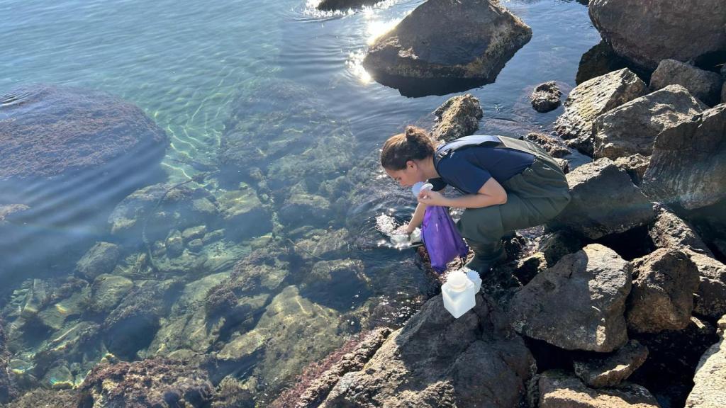 La investigadora de la UPCT, Olga Carnicer, toma muestras de algas en una playa del Levante.