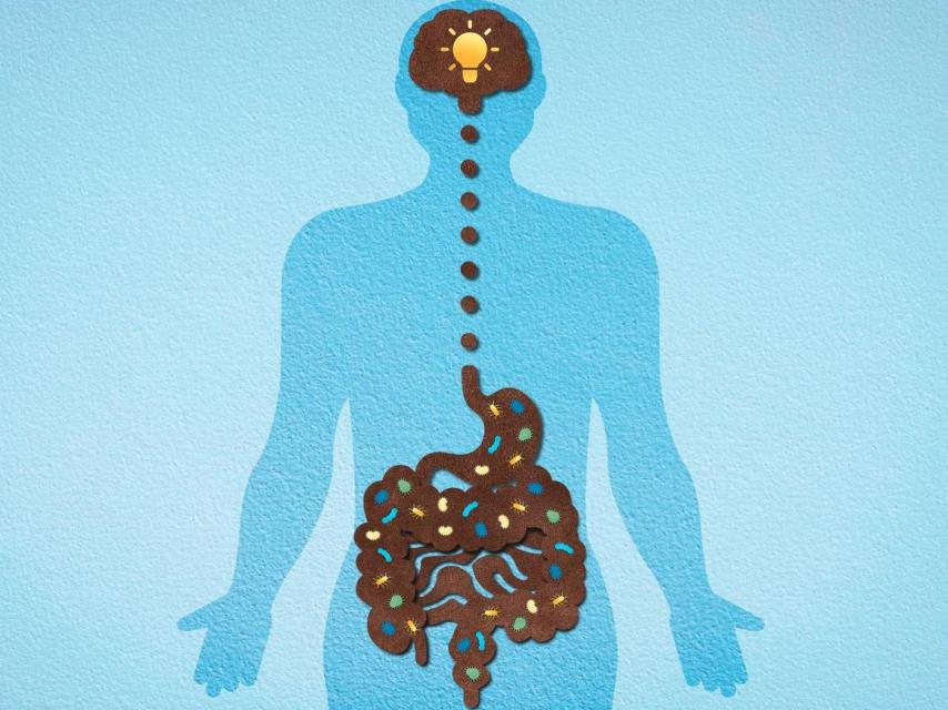 Existe una conexión directa entre el intestino y el cerebro.