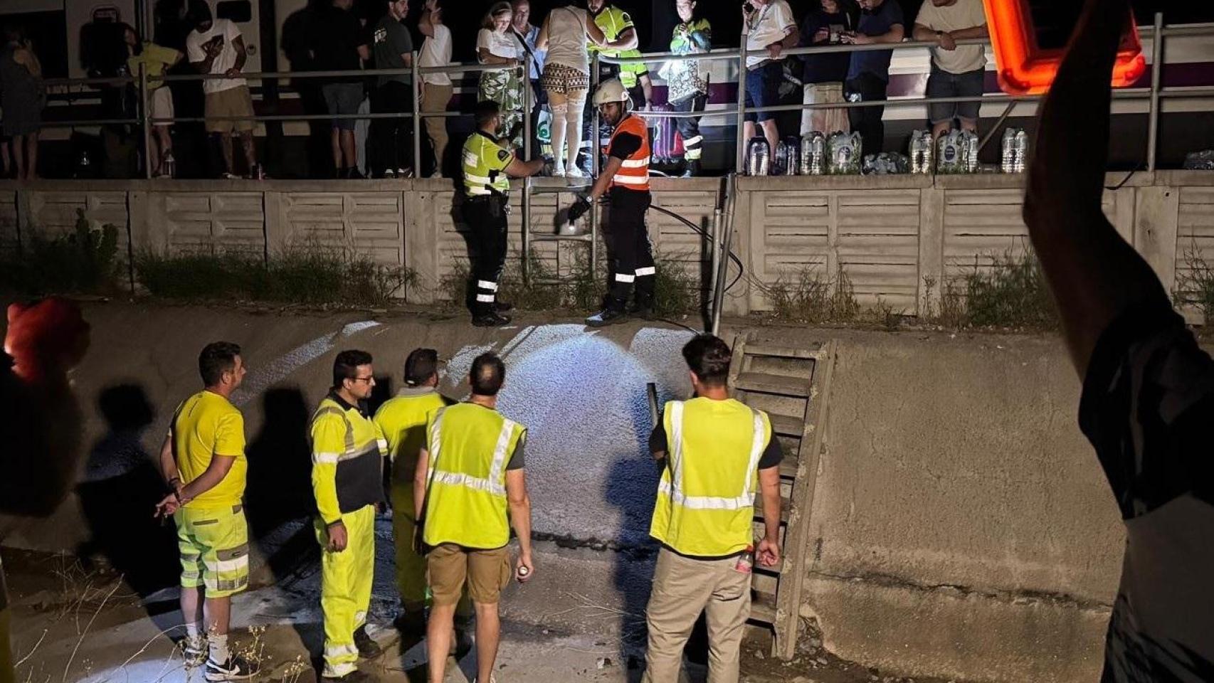Tren parado en Pantoja (Sevilla)