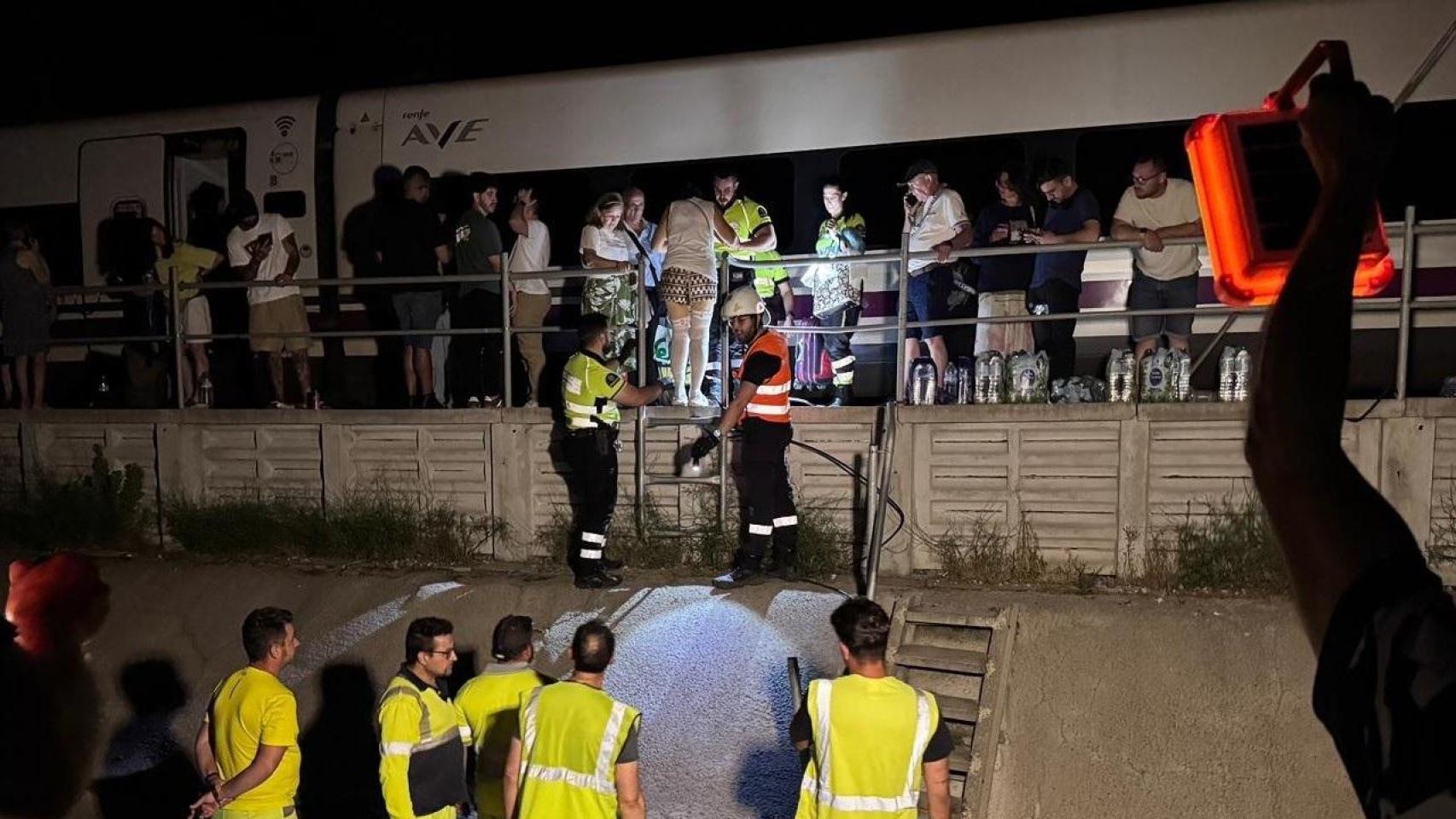 Tren parado en Pantoja (Sevilla)