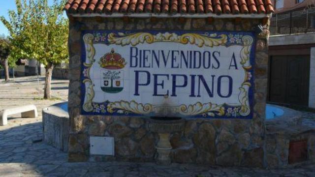 Imagen de una de las entradas a Pepino en Toledo.