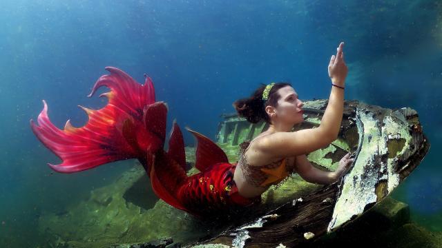 Una de las sirenas que practica en la escuela Les Basetes.