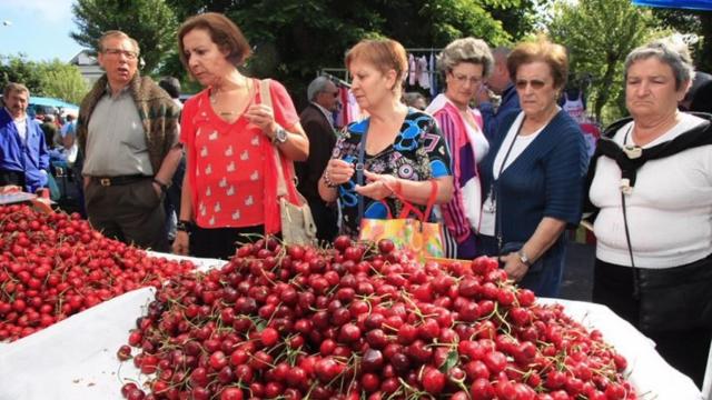 Fotos de una de las ediciones de la Festa das Cereixas de Paiosaco