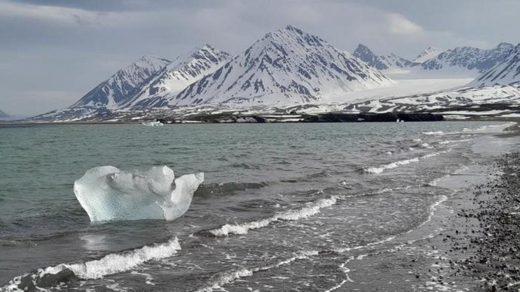 El calentamiento global podría debilitar la capacidad de los fiordos árticos para almacenar carbono en la Bahía Kings en Svalbard.