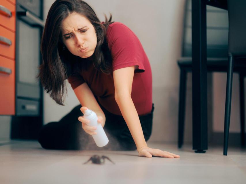 Las cucarachas y las hormigas proliferan en verano.