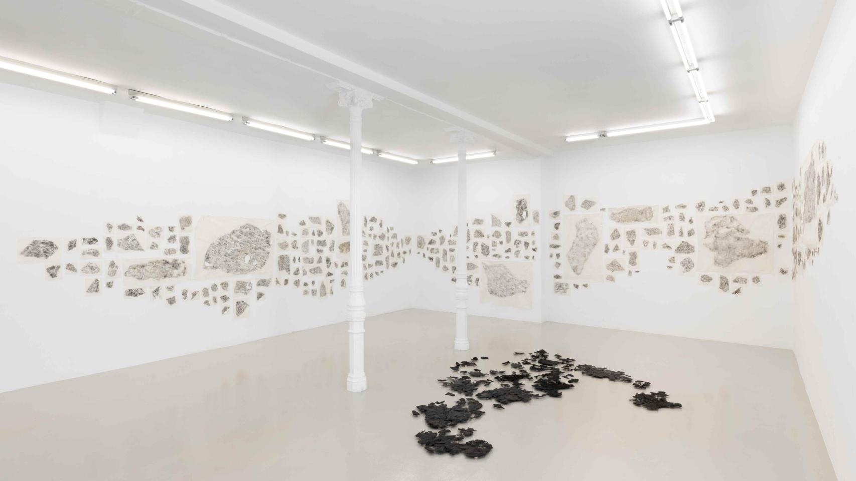 Vista general de la instalación. Foto: Roberto Ruiz