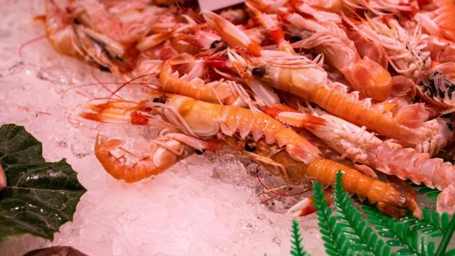 Así será la nueva edición de la Fiesta de la Cigala de Vigo: un mes antes que en 2024