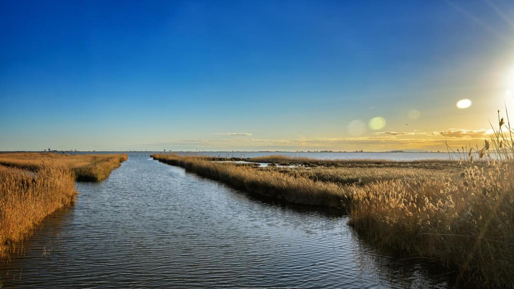 El Delta del Ebro.