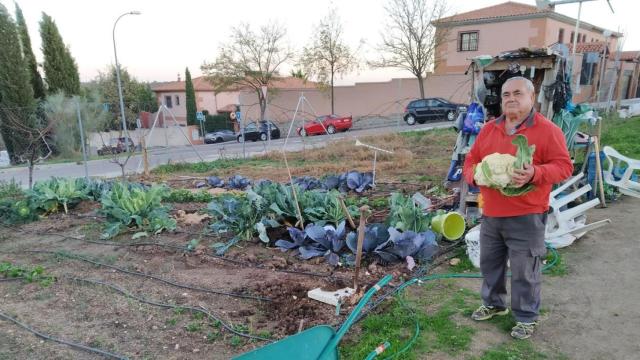 Pancho en el huerto urbano de Valparaíso. Foto: Manuel Moreno