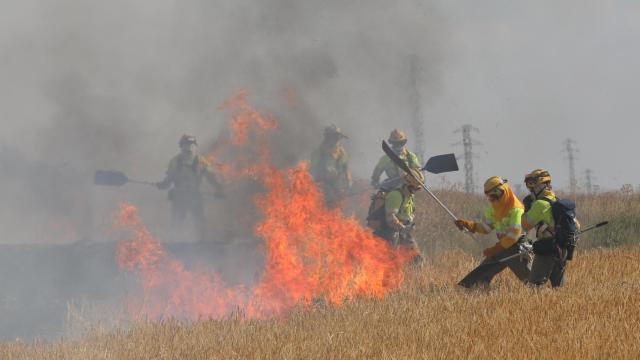 Incendio agrícola de cultivos de cebada y vezas sin cosechar en el término de Villalobón