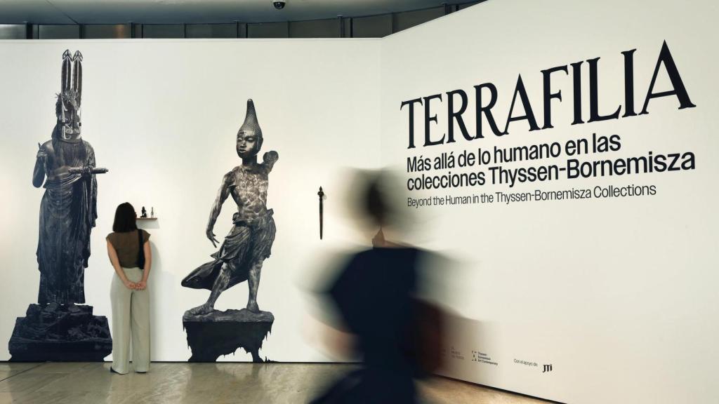 Entrada a la exposición 'Terrafilia'. Foto: TBA21 / Francis Tsang