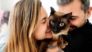 Una pareja con un gato.