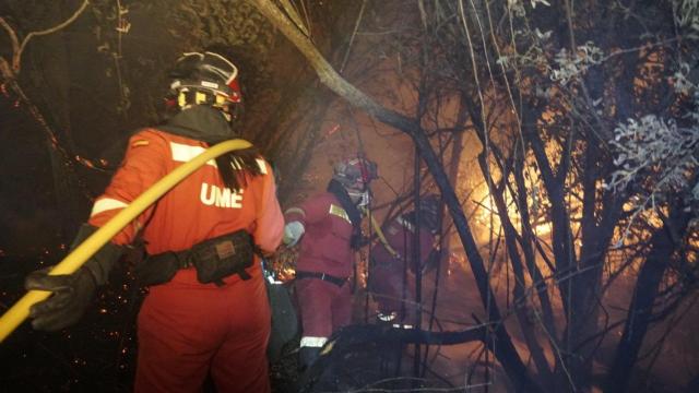 Miembros de la UME trabajando en el incendio forestal de Méntrida (Toledo).