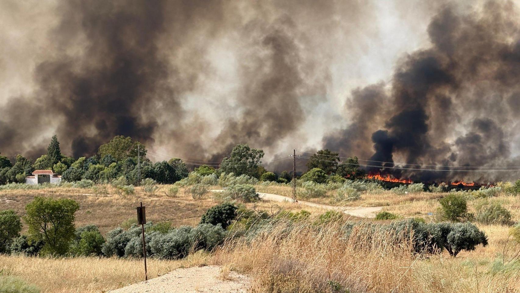 Imagen del incendio forestal de Méntrida (Toledo).