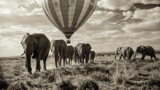 Joan Fontcuberta: de la serie 'Viajes extraordinarios', 2024. En la exposición 'Mirabilia', Naves de Gamazo, Fundación Enaire, Santander