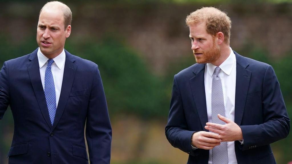 Guillermo y Harry de Inglaterra.