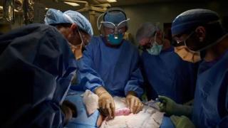 La sanidad española tiene dos retos: los copagos y la equidad