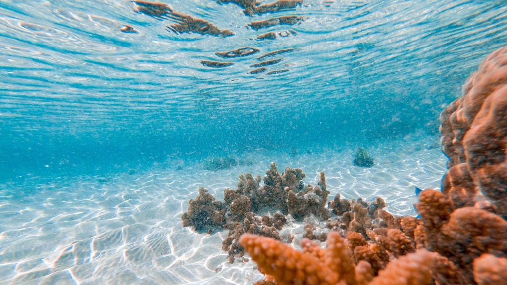 La empresa DEEP tiene como misión permitir a los seres humanos trabajar y vivir bajo el agua.